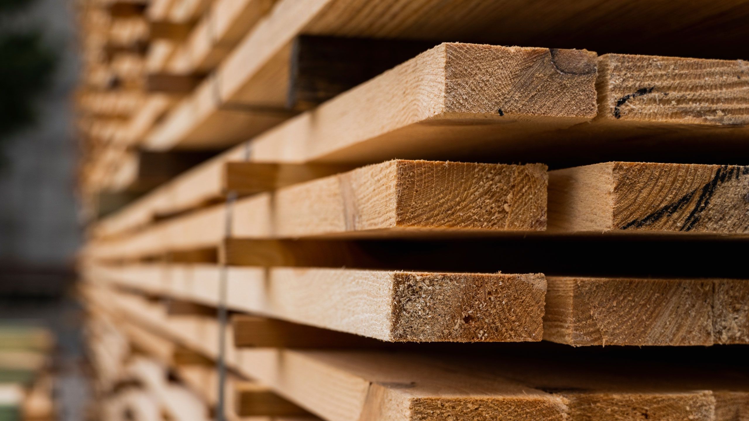 Holz - Schnittholz & Holzwerkstoffe